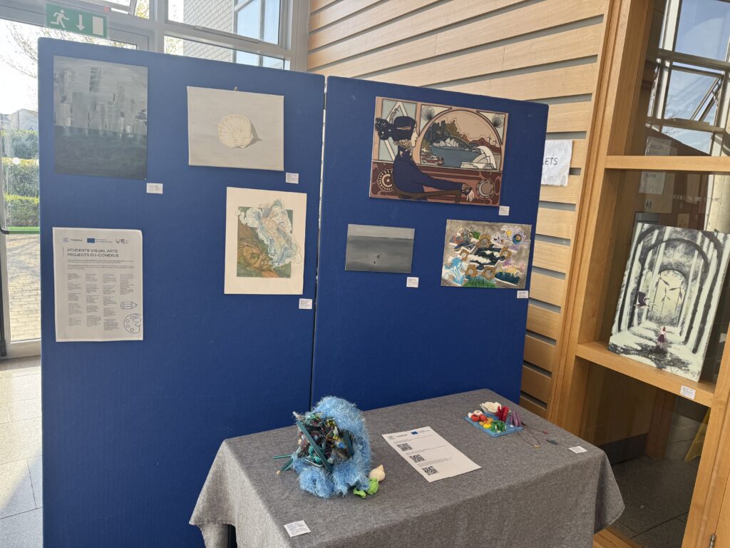 Photograph of student work - mix of installations and landscape images