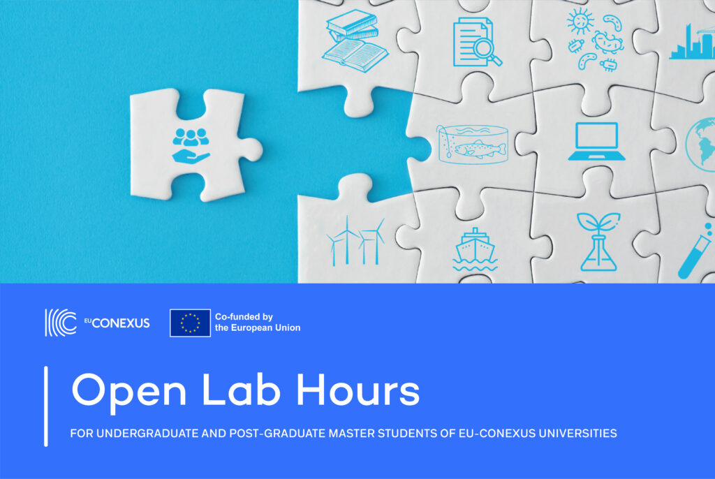 Image of jigsaw pieces with text open lab hours inset