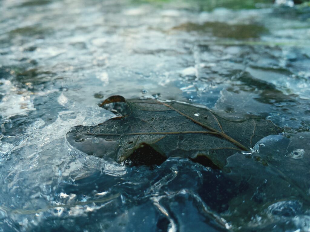 Overhead view of water