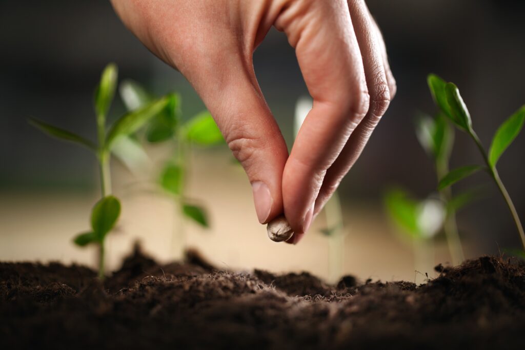 hand planting a seed in soil