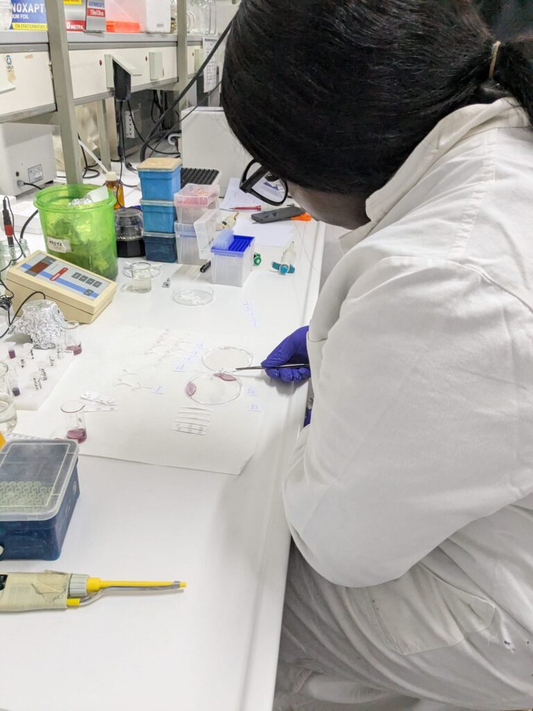 student in lab