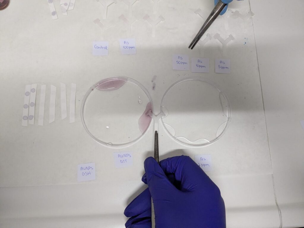 holding lab equipment